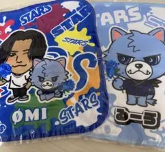 OMI タオルセット