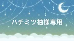 ハチミツ柚様専用