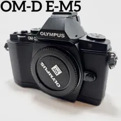 訳あり OLYMPUS OM-D E-M5II レンズバッテリー・充電器セット - メルカリ