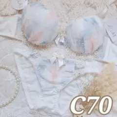 №1380【C70】エアリーフェザーシフォンブラジャー&フルバックショーツ