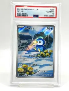 2026年最新】ポッチャマ psa10の人気アイテム - メルカリ