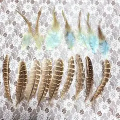 羽毛素材セット 青 緑 茶色