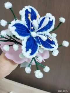 Item thumbnail for item c397a3c0-dbd2-4c6f-90fb-dc267f9fbe96