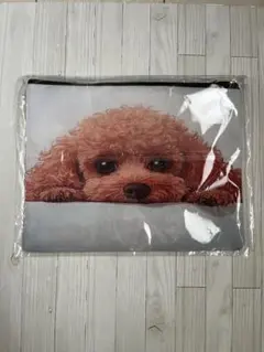 Item thumbnail for item 18053a71-3f54-4575-9983-6cff15970456