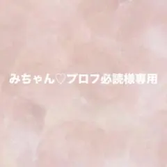 2026年最新】プロフ必読様専用の人気アイテム - メルカリ