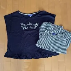 BURBERRY BLUE LABEL ストライプ柄 トップス 36 - メルカリ