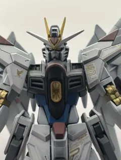 HG ライジングフリーダム マイティーストライクフリーダム 2体セット