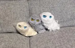 Item thumbnail for item 82889fdd-87e7-4801-8f6c-f2ee042af2a7