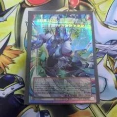 四天の龍クリアウィングシンクロドラゴン オーバーフレーム プリシク