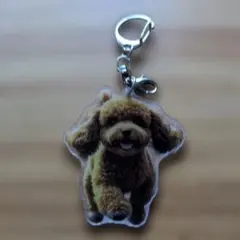 新品未使用で可愛いトイプードルのアクリルキーホルダーです