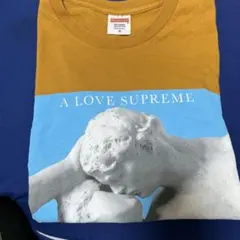 Item thumbnail for item 7eb3a0be-2835-42f3-a973-038e7872c476