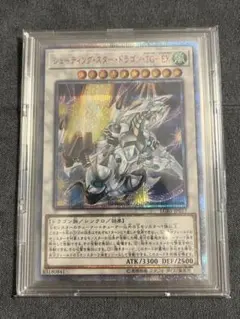 遊戯王 シューティングスタードラゴン スリーブ 100枚 未開封 100枚 未使用 遊戯王 シューティングスタードラゴン TG-EX スリーブ