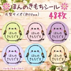 H2 ほんのきもちシール シマエナガちゃんシンプル 丸型 6色48枚セット