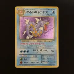 2026年最新】わるいギャラドス psa10の人気アイテム - メルカリ