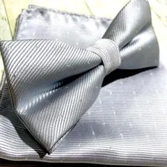 Item thumbnail for item 4ca6b973-648a-4ea4-93a6-ec28c7067f53