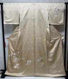 2025年最新】胡蝶蘭 訪問着の人気アイテム - メルカリ