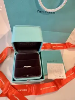 Tiffany & Co. 9号カーブドバンドリング ダイヤモンドのサムネイル