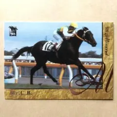 98上 競馬カード、ミスターシービー