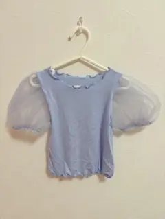 新品/perro bebe / Sサイズ