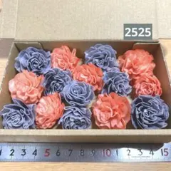 ソラフラワー　2525