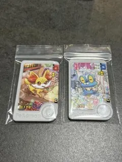 ポケモンフレンダ　パラレルアートピック