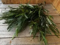 大吉様 リクエスト 2点 まとめ商品