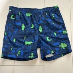 ザノースフェイス　子供　ズボン　水着