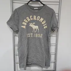 Abercrombie & Fitch グレー Tシャツ S