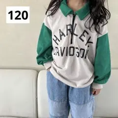 ジップアップ トレーナー 120 長袖 ロンＴ 襟  男の子 女の子 キッズ 秋