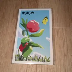 ホウセンカ　前売り特典 オリジナルステッカーセット　新品未開封