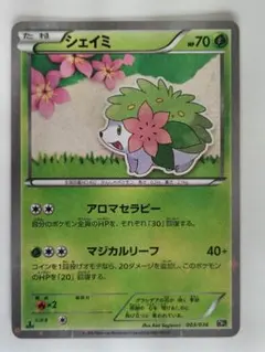 シェイミ 003 CP5