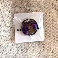 PASONA パソナ　生命進化の樹　ピンバッジ