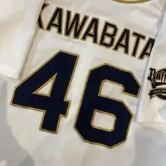 ⭐【期間限定‼︎】タグ付き オリックスバッファローズ 清原和博選手 