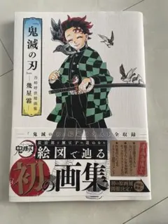 ⭐︎初版⭐︎鬼滅の刃 吾峠呼世晴画集 幾星霜 初版 『鬼滅の刃』吾峠呼世晴画集―幾星霜― - メルカリ