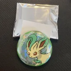 ポケモンカード中国限定 宝石包 ブラッキー ピンズ バッジ 4cm - メルカリ