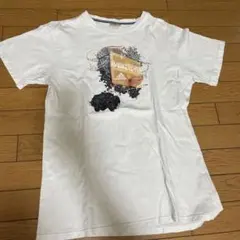 adidas バスケットボール プリント Tシャツ ホワイトのサムネイル