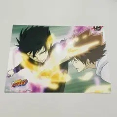 家庭教師ヒットマンREBORN！　リボーン 雲雀恭弥　ブロマイド