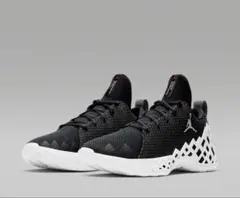 JORDAN JUMPMAN PRO 25周年記念☆28cm☆美品☆ | Mercari