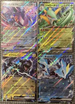 綾鷹様 リクエスト 2点 まとめ商品