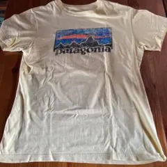 patagonia メンズ Tシャツ M スリムフィット クリーム