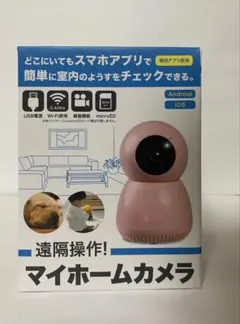 우리집 카메라 본체, 반려동물 모니터링, 와이파이 호환