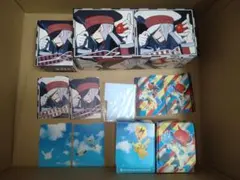 ポケモンカードゲーム/デッキケース/ロングカードボックス/ノボリ・クダリ