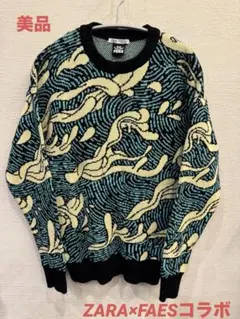 ZARA FARSコラボ　US Ssize波模様 厚手ニットセーター