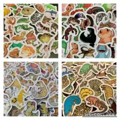 爬虫類のフレークシール4セット