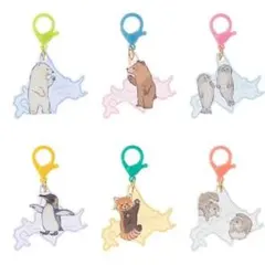 旭山動物園×Lommy トレーディングアクリルチャーム レッサーパンダ