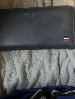 Item thumbnail for item 8d2d214a-c8f0-4a9a-999d-2581fcdf79d3