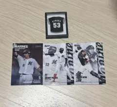 Item thumbnail for item e9e26487-89a6-4397-91db-b661d6d18672