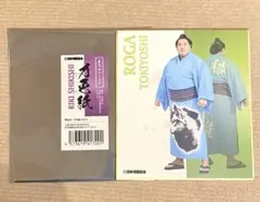 Item thumbnail for item 2612fc7c-a2ab-44c7-81dd-b450ad816ef7