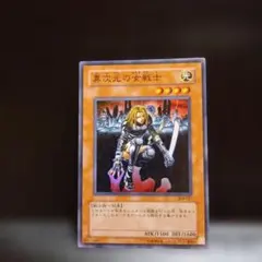 異次元の女戦士 （304.スーパー）のサムネイル