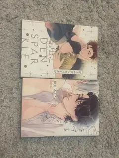 漫画 2冊まとめ売り